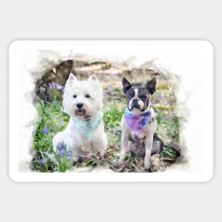 Westie and Boston Sticker